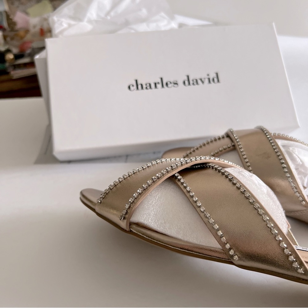 CHARLES DAVID KENYA EMBELLISHED METALLIC LEATHER FLAT SANDALS SIZE 9 NEW IN BOX - Picture 5 of 12